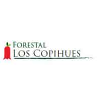 Forestal Los Copihues